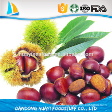 good price fresh chestnut for sale in Dandong wholesale price bulk chestnuts